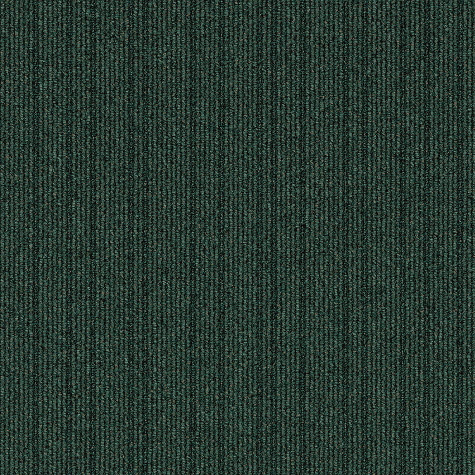 Alcatifa AD20 B8 7912, verde escuro, disponível em autoportante.